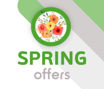 >>210x180 Spring Offers